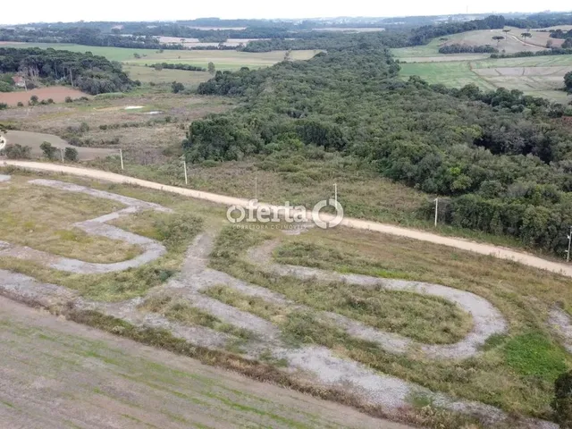Imagem 13: Chácara em Araucária / Camundá