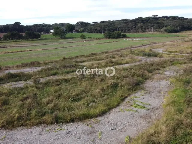 Imagem 7: Chácara em Araucária / Camundá