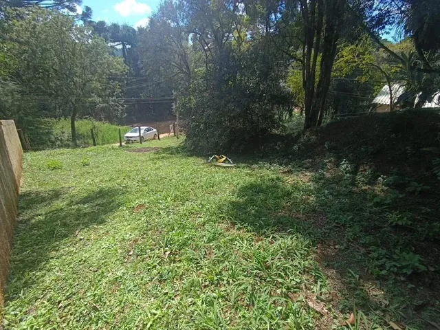 Imagem 7: Terreno em Bateias