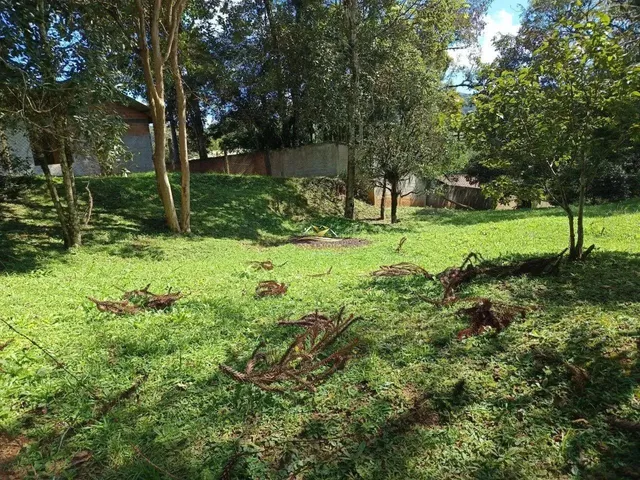 Imagem 6: Terreno em Bateias