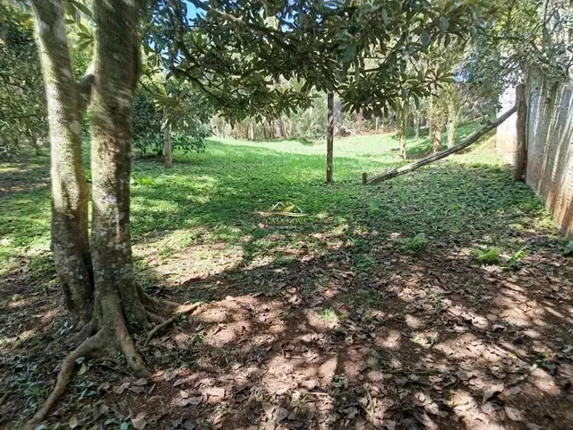 Imagem 10: Terreno em Bateias
