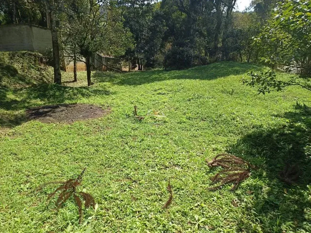 Imagem 8: Terreno em Bateias