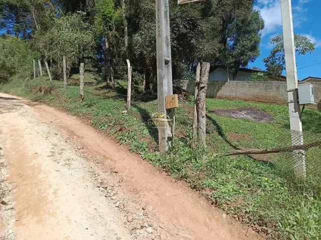 Imagem 9: Terreno em Bateias