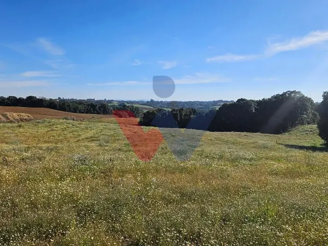 Imagem: Chácara 7 Alqueires em Campo Magro Ideal
