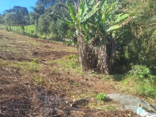 Imagem 6: Chácara 1 Km da Estrada da Ribeira na Embrapa