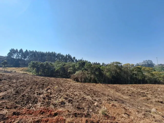 Imagem 7: Chácara 1 Km da Estrada da Ribeira na Embrapa