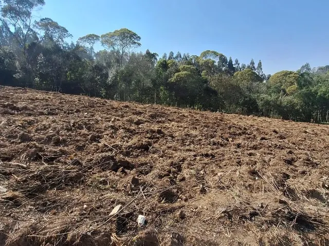 Imagem 8: Chácara 1 Km da Estrada da Ribeira na Embrapa