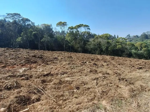 Imagem 14: Chácara 1 Km da Estrada da Ribeira na Embrapa