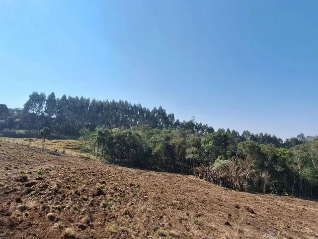 Imagem 3: Chácara 1 Km da Estrada da Ribeira na Embrapa