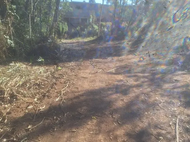 Imagem 9: Chácara 1 Km da Estrada da Ribeira na Embrapa