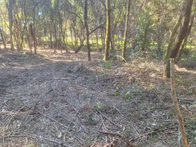 Imagem 4: Chácara 1 Km da Estrada da Ribeira na Embrapa