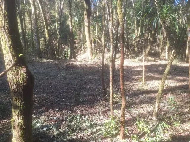 Imagem 12: Chácara 1 Km da Estrada da Ribeira na Embrapa