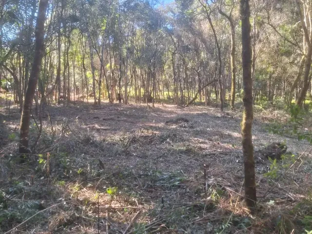 Imagem 5: Chácara 1 Km da Estrada da Ribeira na Embrapa