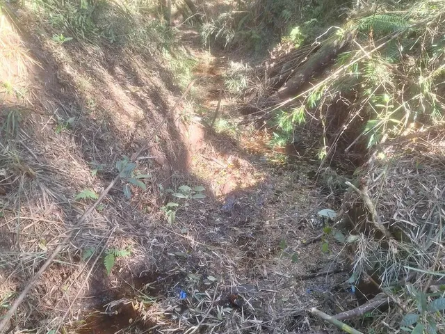 Imagem 2: Chácara 1 Km da Estrada da Ribeira na Embrapa