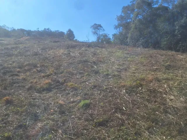 Imagem 16: Chácara 1 Km da Estrada da Ribeira na Embrapa
