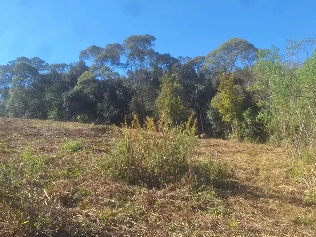 Imagem 15: Chácara 1 Km da Estrada da Ribeira na Embrapa