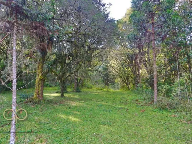 Imagem 5: Chácara com 7 Dormitórios À Venda, 72600 M² por R$ 2.900.000,00 - Roseira - Colombo/Pr