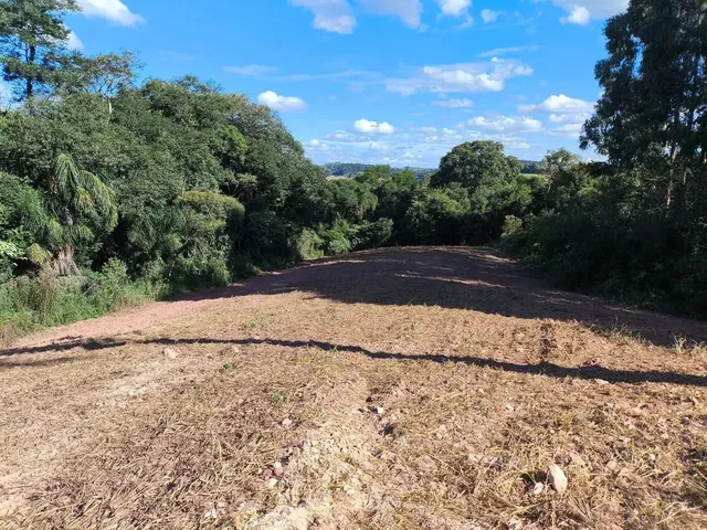 Imagem 5: Área Rural 23.373M² Balsa Nova- 3Km Rod. Pr-510, 10Km Campo Largo, Doc 100