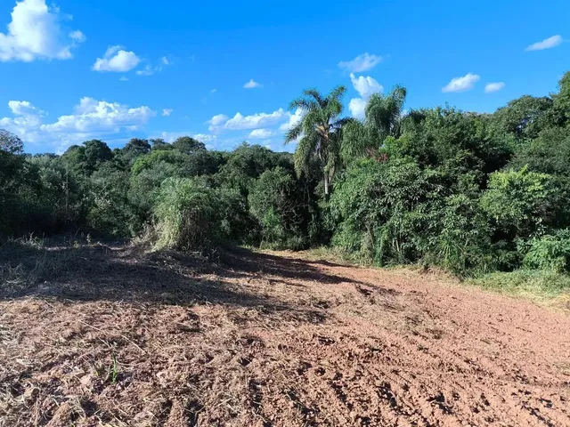 Imagem 12: Área Rural 23.373M² Balsa Nova- 3Km Rod. Pr-510, 10Km Campo Largo, Doc 100