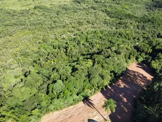 Imagem 11: Área Rural 23.373M² Balsa Nova- 3Km Rod. Pr-510, 10Km Campo Largo, Doc 100