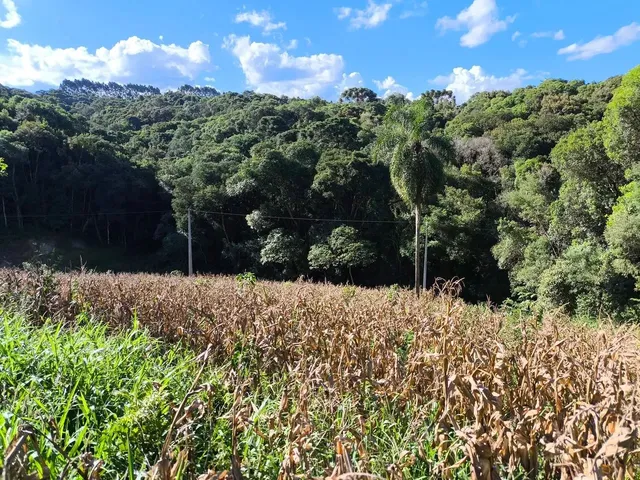 Imagem 13: Área Rural 23.373M² Balsa Nova- 3Km Rod. Pr-510, 10Km Campo Largo, Doc 100