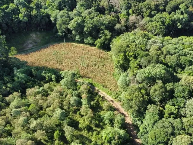 Imagem 6: Área Rural 23.373M² Balsa Nova- 3Km Rod. Pr-510, 10Km Campo Largo, Doc 100