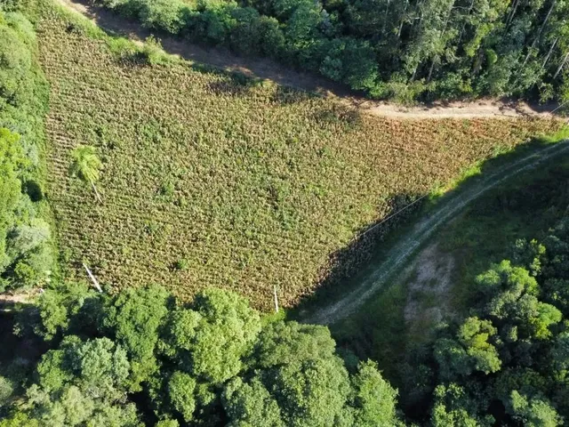 Imagem 3: Área Rural 23.373M² Balsa Nova- 3Km Rod. Pr-510, 10Km Campo Largo, Doc 100