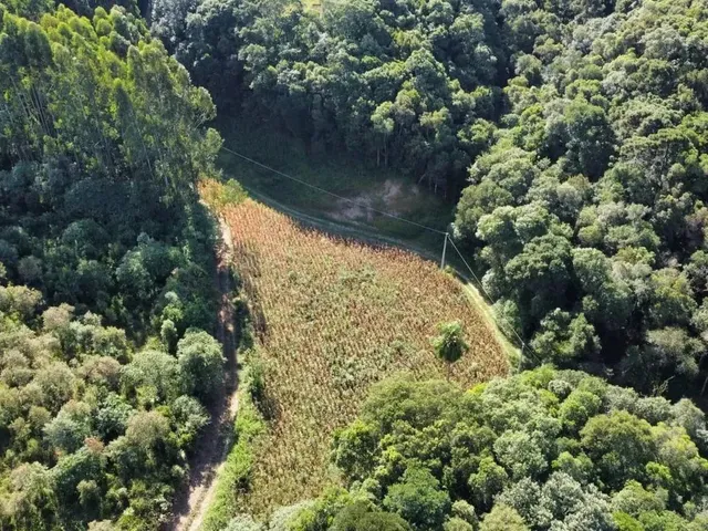 Imagem 10: Área Rural 23.373M² Balsa Nova- 3Km Rod. Pr-510, 10Km Campo Largo, Doc 100