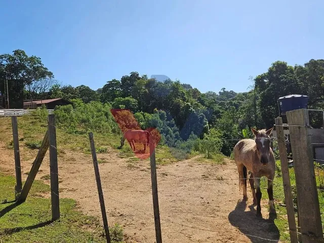 Imagem: Terreno de 4.361M com Córrego e Vista Incrível