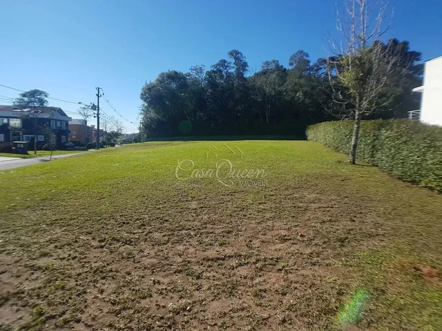 Imagem 5: Alto, de Esquina e com Vista Privilegiada