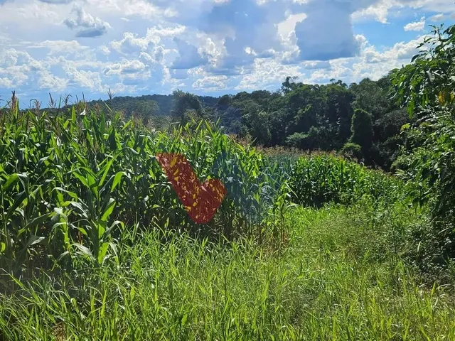 Imagem: Área de 36.400M para Chácara com Bosque