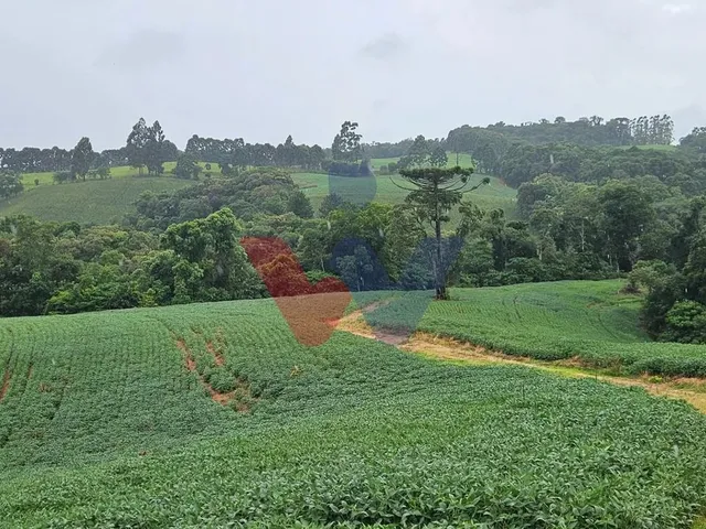 Imagem: Área de 79.000 M com 41.000 M Mecanizados