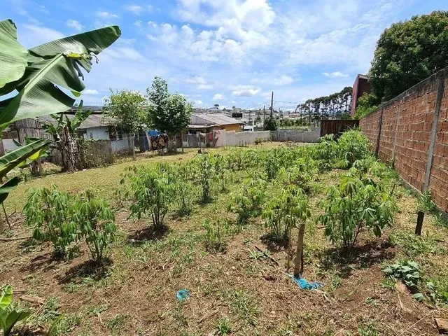 Imagem 2: Terreno À Venda, Centro, Quatro Barras, Pr