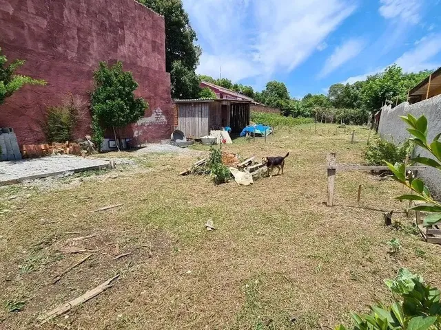 Imagem 5: Terreno À Venda, Centro, Quatro Barras, Pr