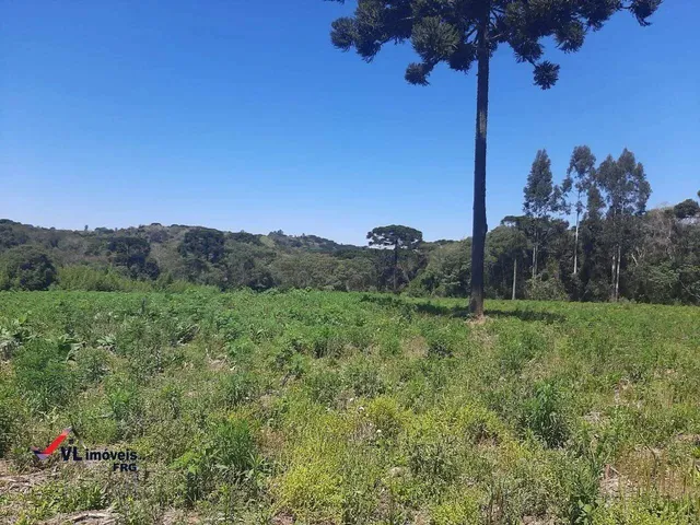 Imagem: Chácara Á Venda no Bairro Lagoa dos Ferreiras