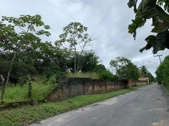 Imagem 13: Terreno para Alugar na Cidade de Eusebio-Ce