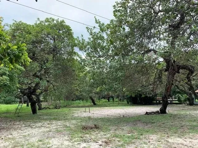 Imagem 11: Terreno para Alugar na Cidade de Eusebio-Ce
