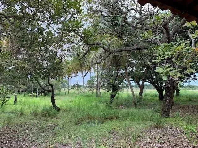 Imagem 15: Terreno para Alugar na Cidade de Eusebio-Ce