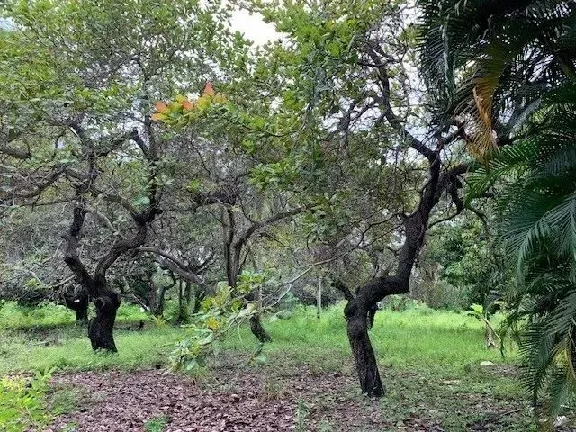 Imagem 12: Terreno para Alugar na Cidade de Eusebio-Ce