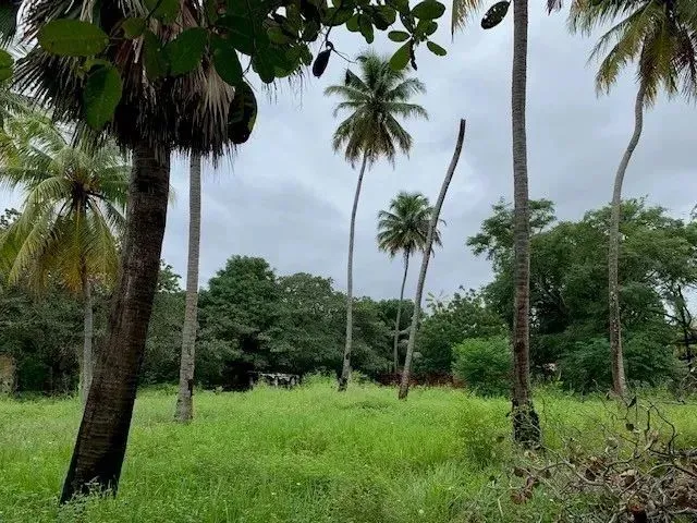 Imagem 6: Terreno para Alugar na Cidade de Eusebio-Ce