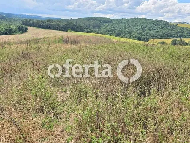 Imagem 3: Chacara / Terreno na Lapa / Agua Azul