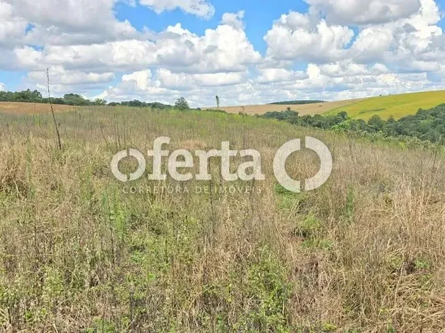 Imagem 7: Chacara / Terreno na Lapa / Agua Azul