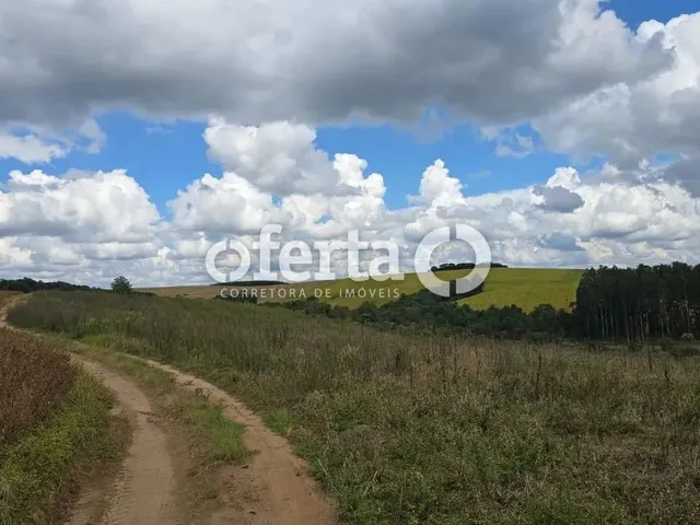 Imagem 2: Chacara / Terreno na Lapa / Agua Azul