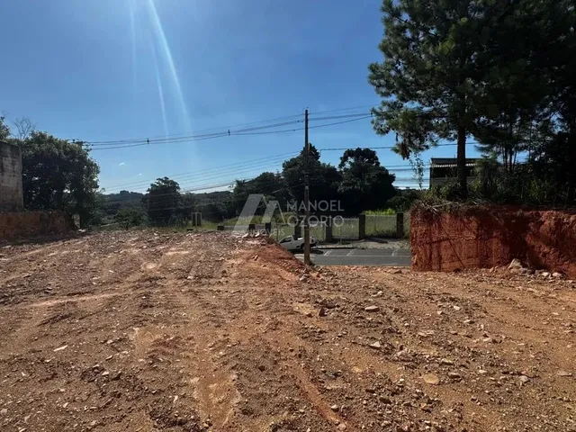 Imagem 14: Lote / Terreno em Centro - Araucária