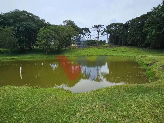 Imagem 1: Propriedade Rural com 254.100M , Casas, Tanques de Peixe, Pomar e Pasto