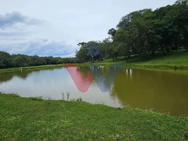 Imagem 14: Propriedade Rural com 254.100M , Casas, Tanques de Peixe, Pomar e Pasto