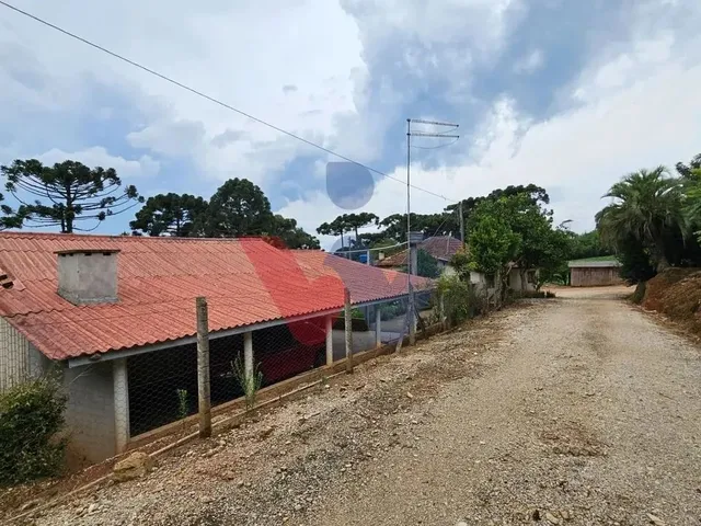 Imagem 8: Propriedade Rural com 254.100M , Casas, Tanques de Peixe, Pomar e Pasto