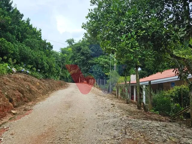 Imagem 6: Propriedade Rural com 254.100M , Casas, Tanques de Peixe, Pomar e Pasto
