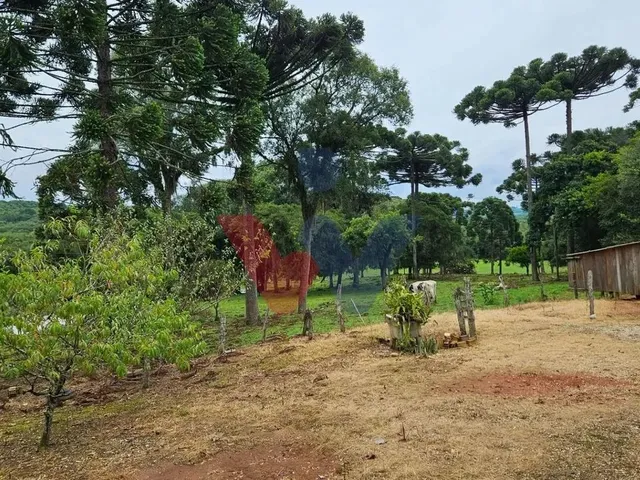 Imagem 9: Propriedade Rural com 254.100M , Casas, Tanques de Peixe, Pomar e Pasto