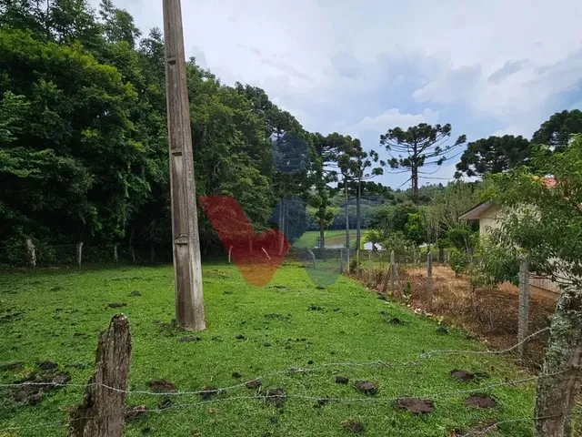 Imagem 3: Propriedade Rural com 254.100M , Casas, Tanques de Peixe, Pomar e Pasto